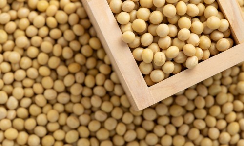 菜类营养成分表图片-菜类营养成分表网 - 蔬菜营养成分,菜类营养价值排名